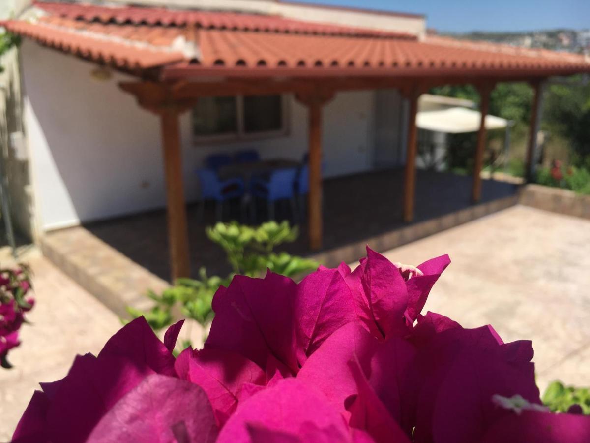 Guesthouse Nedin Εξαμίλιο Εξωτερικό φωτογραφία
